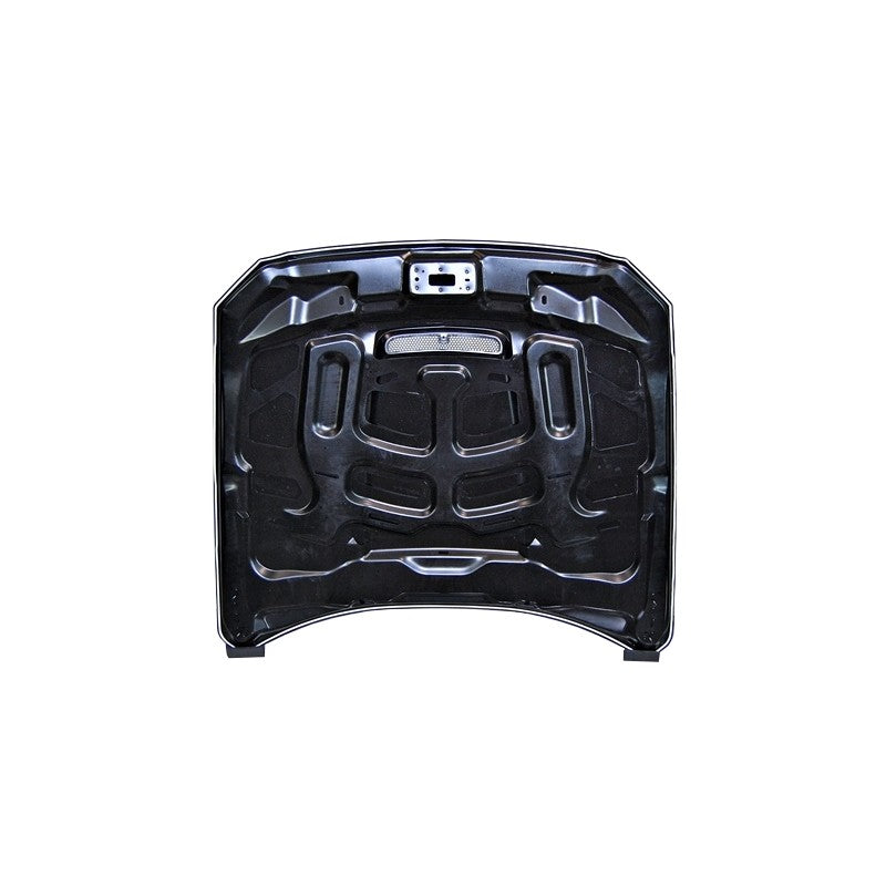 Ford Mustang 2015-17 GT350 Style Aluminum Bonnet